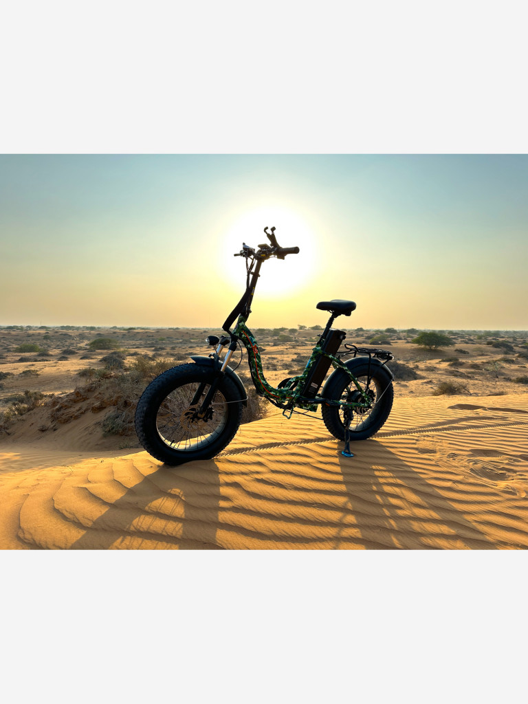 Электровелосипед OxyVolt "Low Fat Ranger" 750Вт, 48В, 20Ач, гидравлика, фэтбайк, складной, 20 дюймов, графит