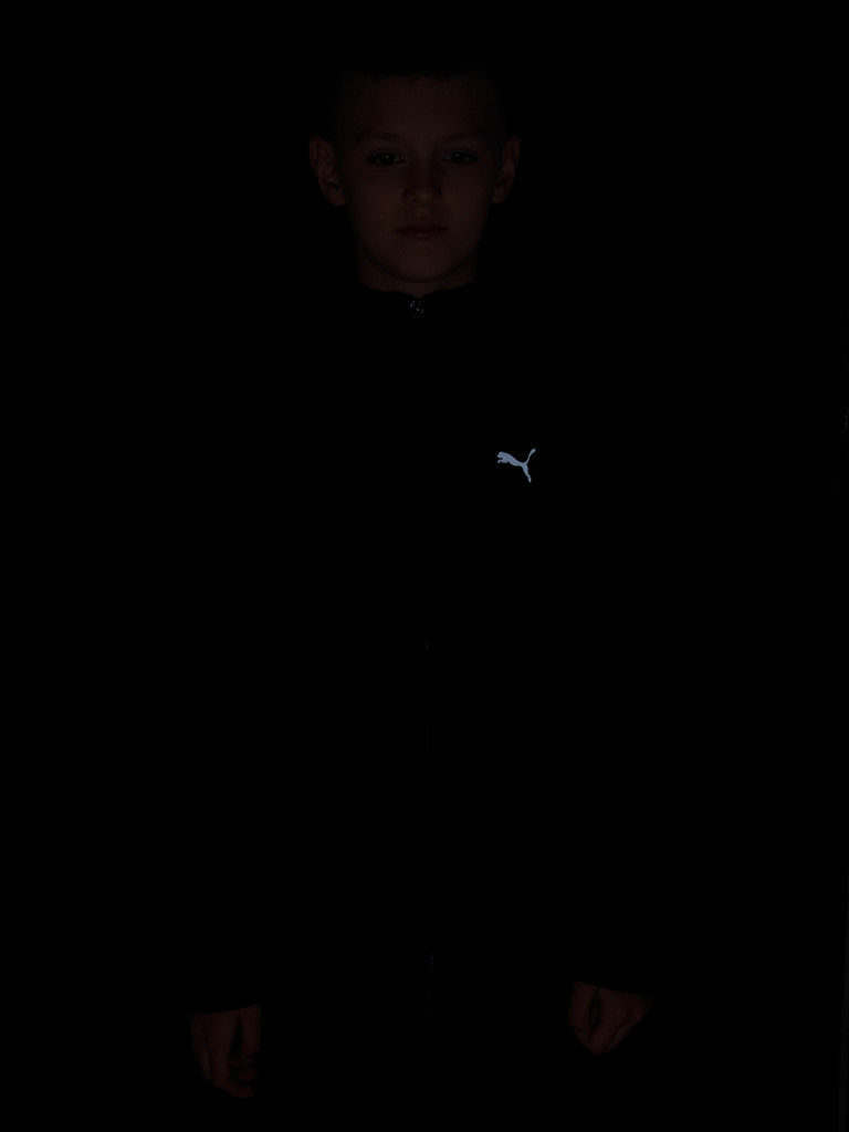 Толстовка для мальчиков PUMA Evostripe