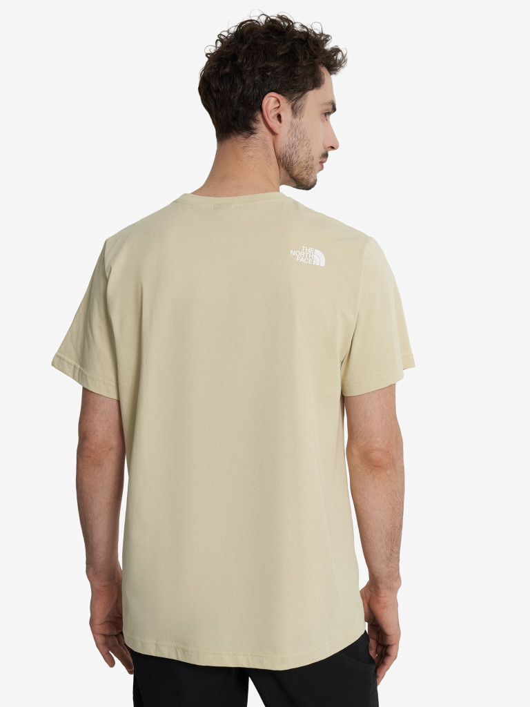 Футболка мужская The North Face Mountain Line