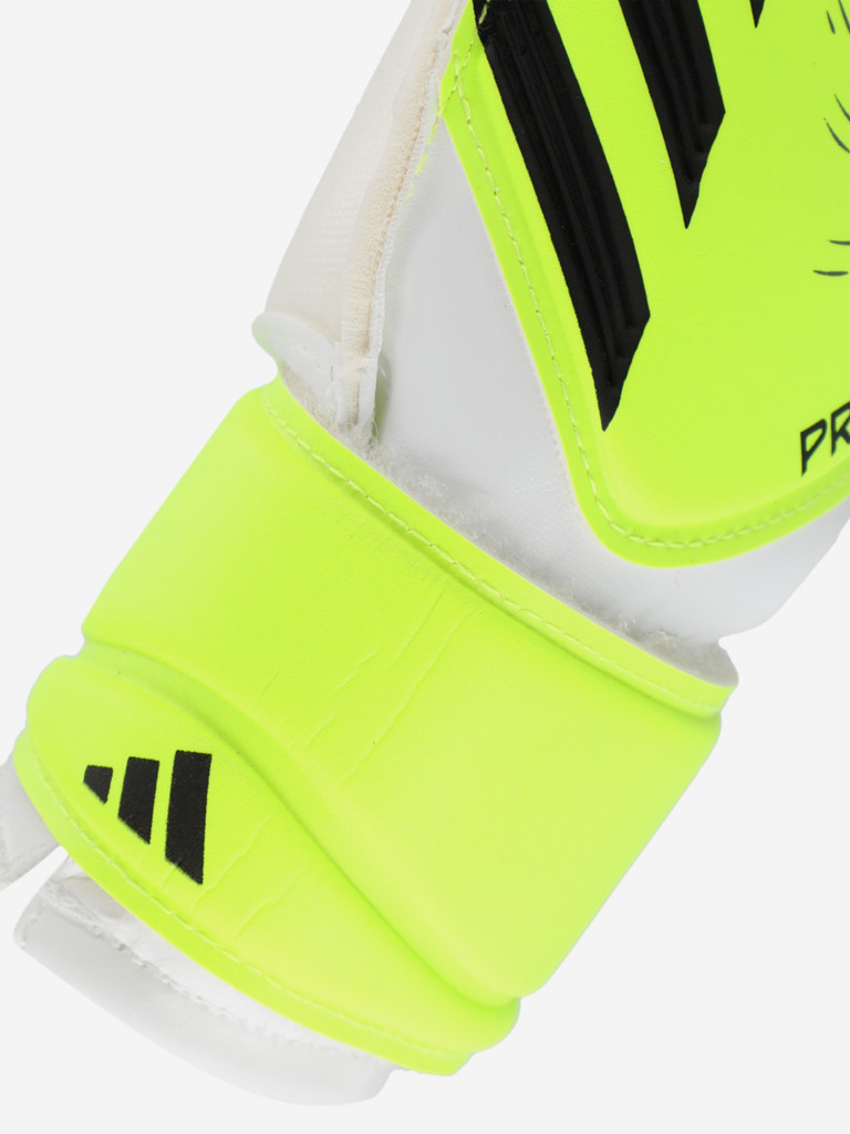 Перчатки вратарские adidas Predator Training