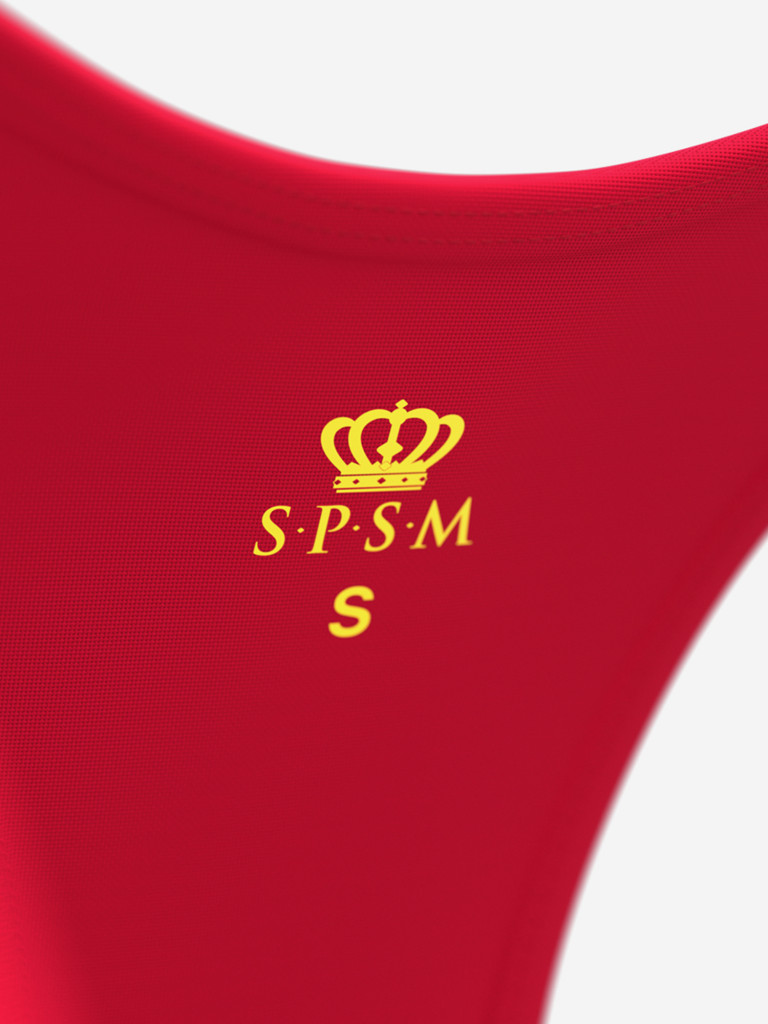 Купальник раздельный SPSM