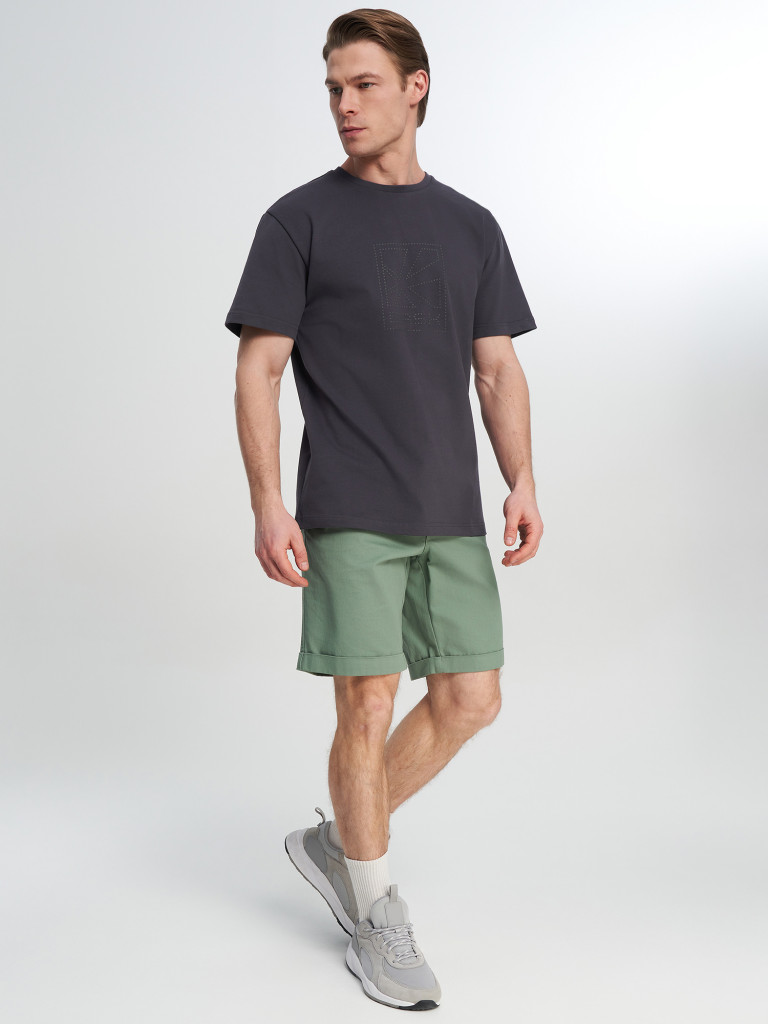 Футболка мужская Bask Points