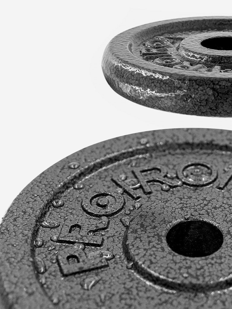 Гантели разборные PROIRON с грифом из чугуна набор 2 шт, 10+10 кг