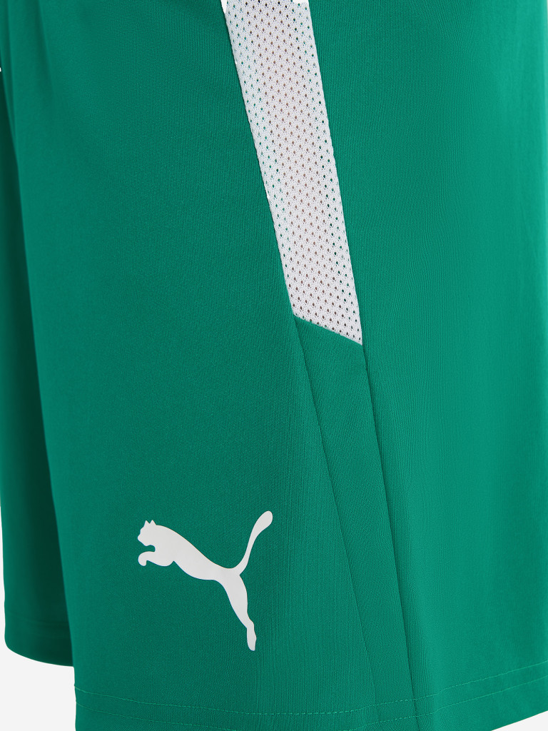 Шорты для мальчиков PUMA Teamliga Jr