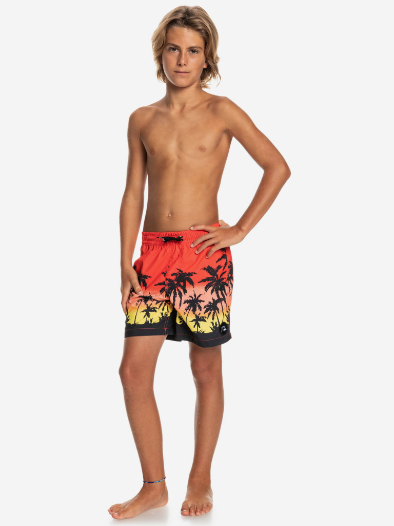 Шорты для мальчиков Quiksilver Paradise