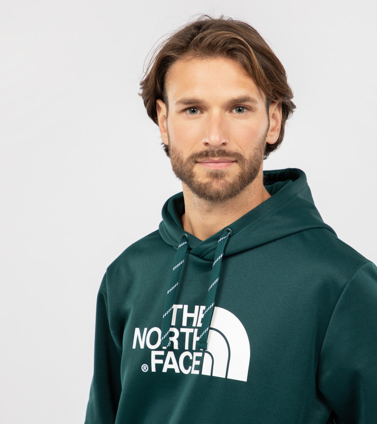 Худи мужское The North Face Surgent