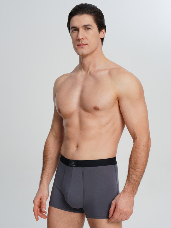 Трусы мужские Demix, 3 штуки