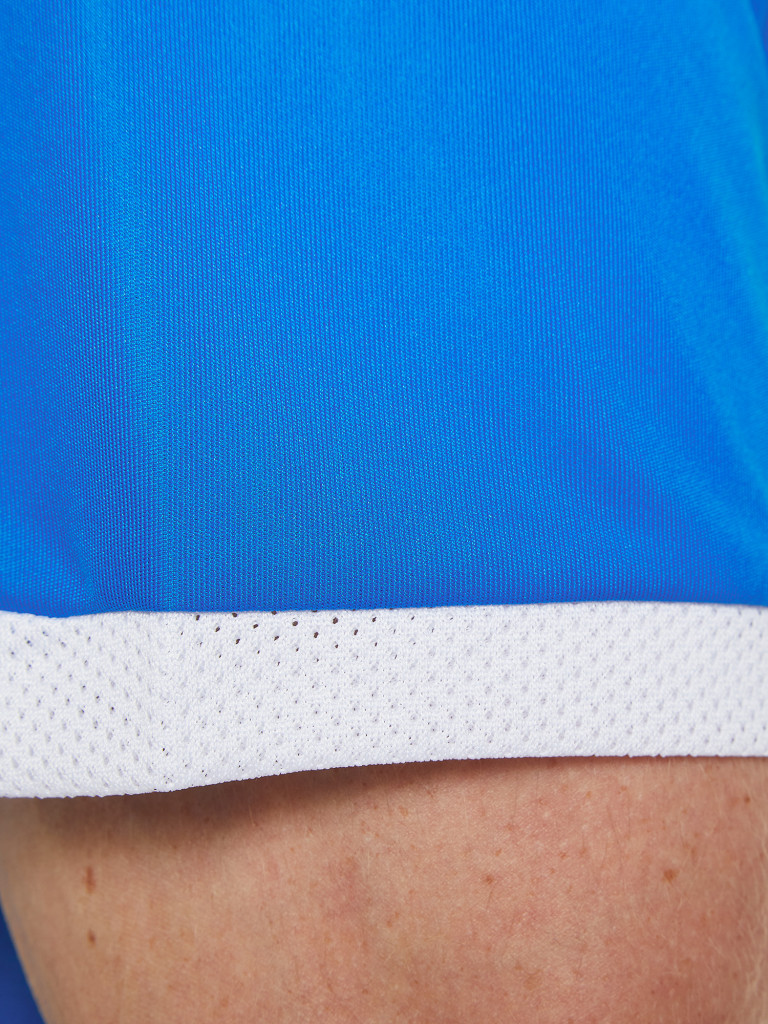 Футболка мужская PUMA Team Liga