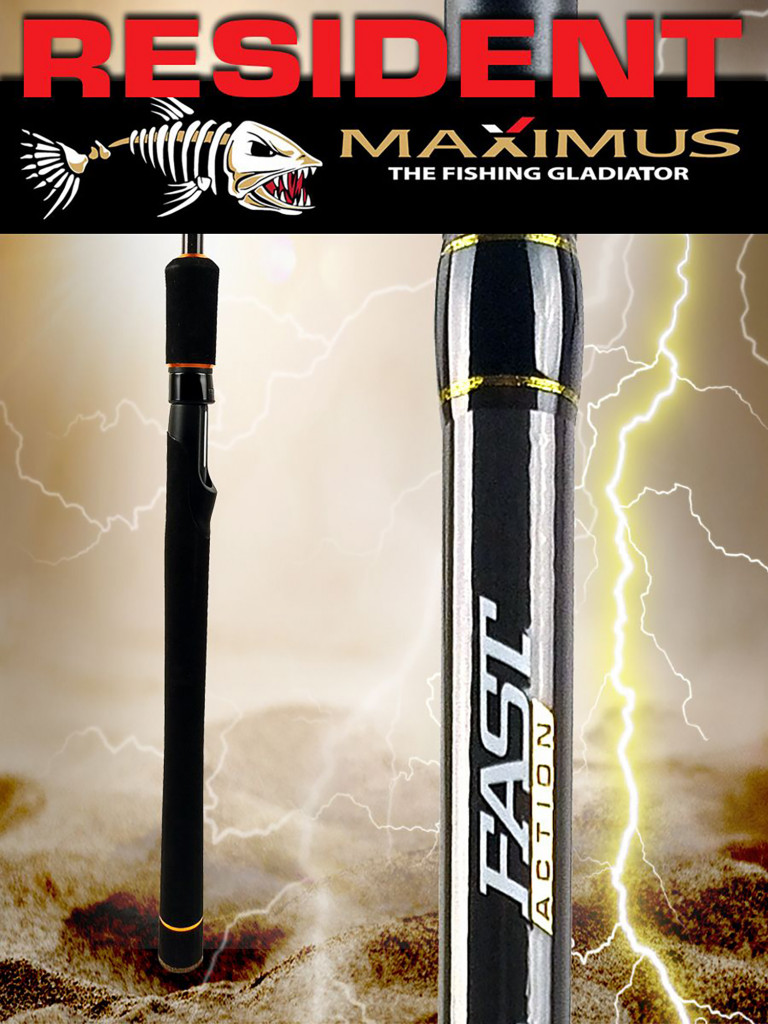 Спиннинг для рыбалки Maximus RESIDENT 27H 2,7m 20-60g