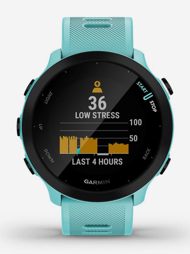 Спортивные наручные часы Garmin Forerunner 55 Aqua