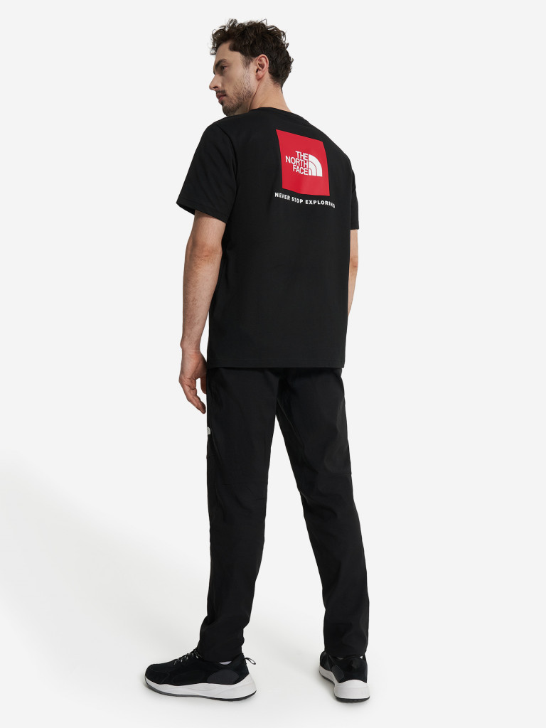 Футболка мужская The North Face Box Nse