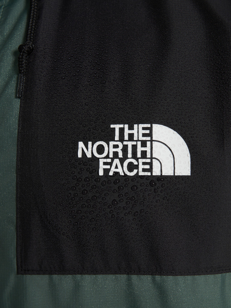 Ветровка мужская The North Face Seasonal Mountain