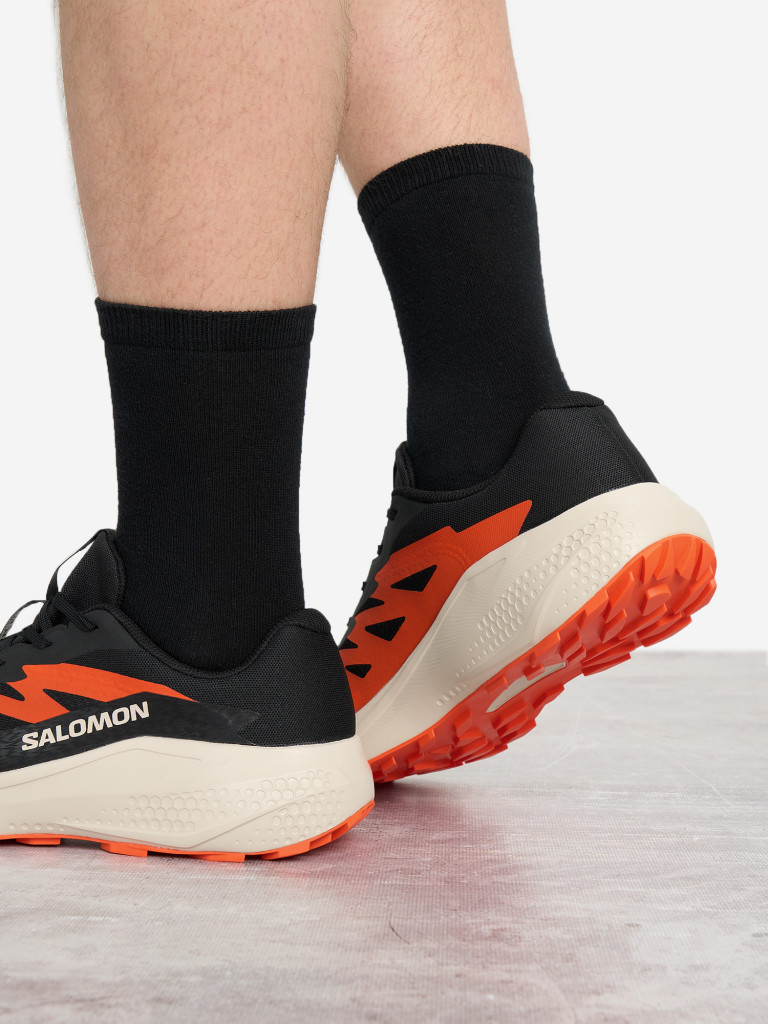 Кроссовки мужские Salomon Alphaglide