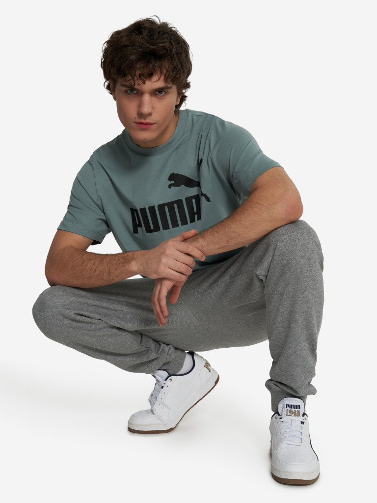 Футболка мужская PUMA Essentials No. 1 Logo