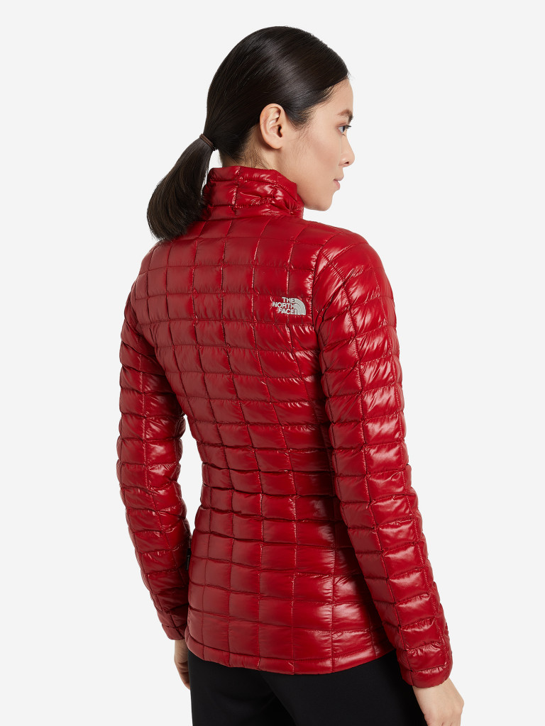 Пуховик женский The North Face Eco