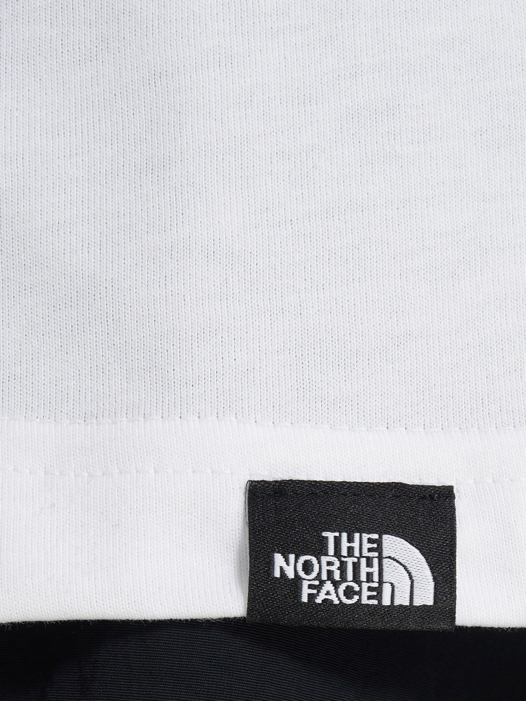 Футболка мужская The North Face Easy