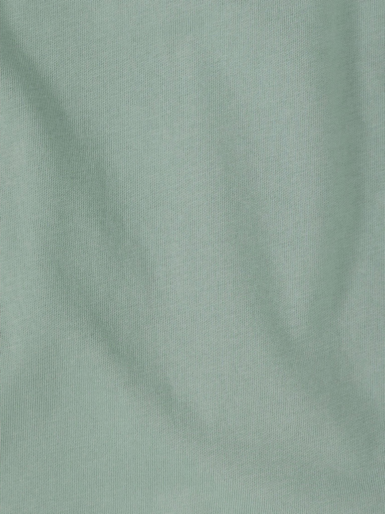 Футболка мужская Jack Wolfskin Brand