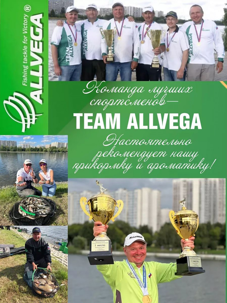 Прикормка зимняя готовая ALLVEGA Formula Winter Ready универсал 5 пачек по 0.5 кг