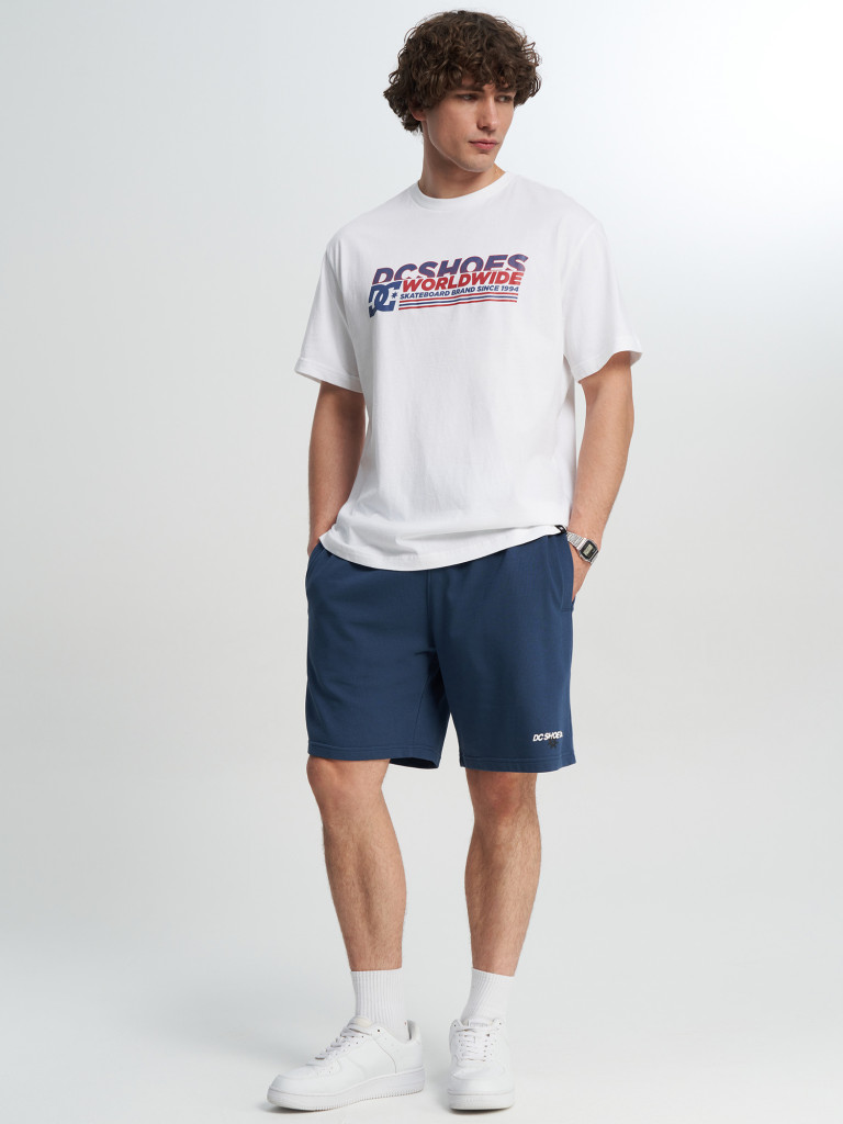 Футболка мужская DC Shoes Queltra