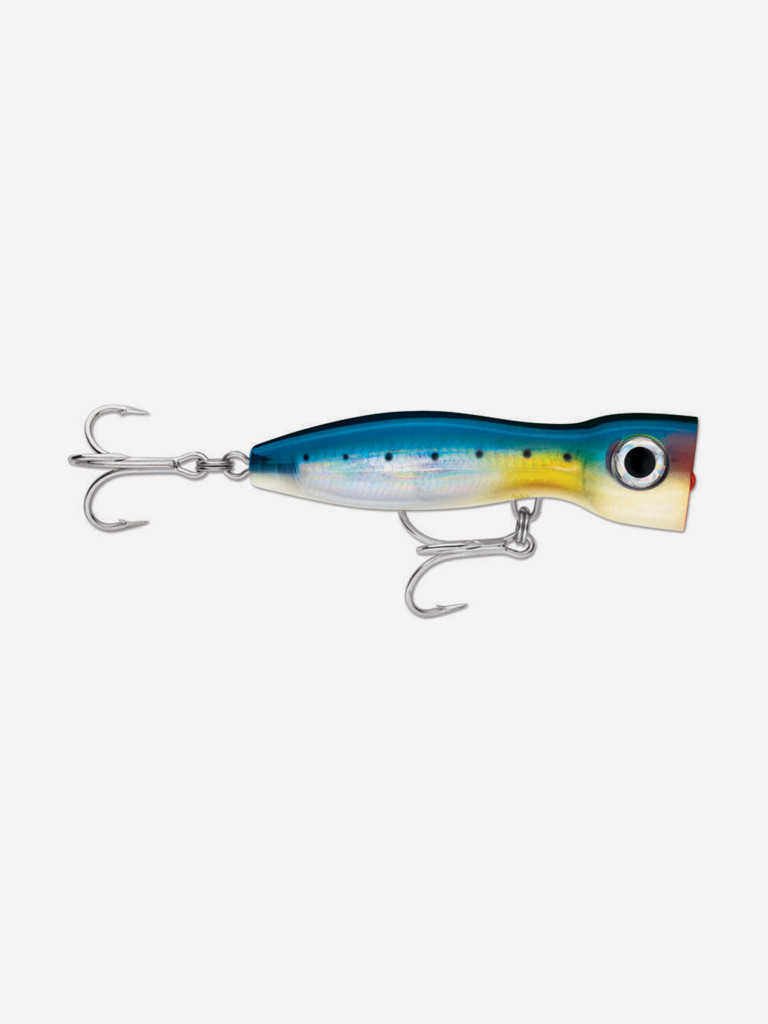 Воблер для рыбалки RAPALA X-Rap Magnum Xplode 170, 17см, 145гр, цвет BSRD, плавающий