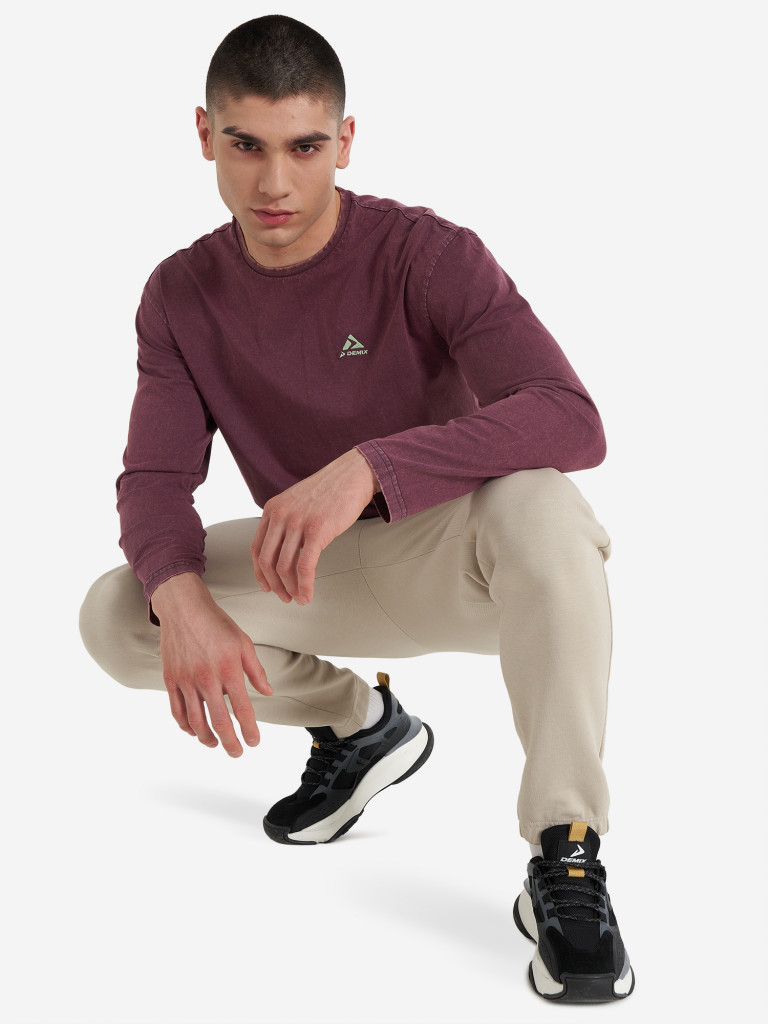 Лонгслив мужской Demix Discover