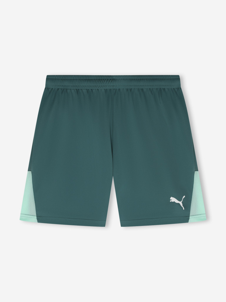 Шорты мужские PUMA Teamliga26