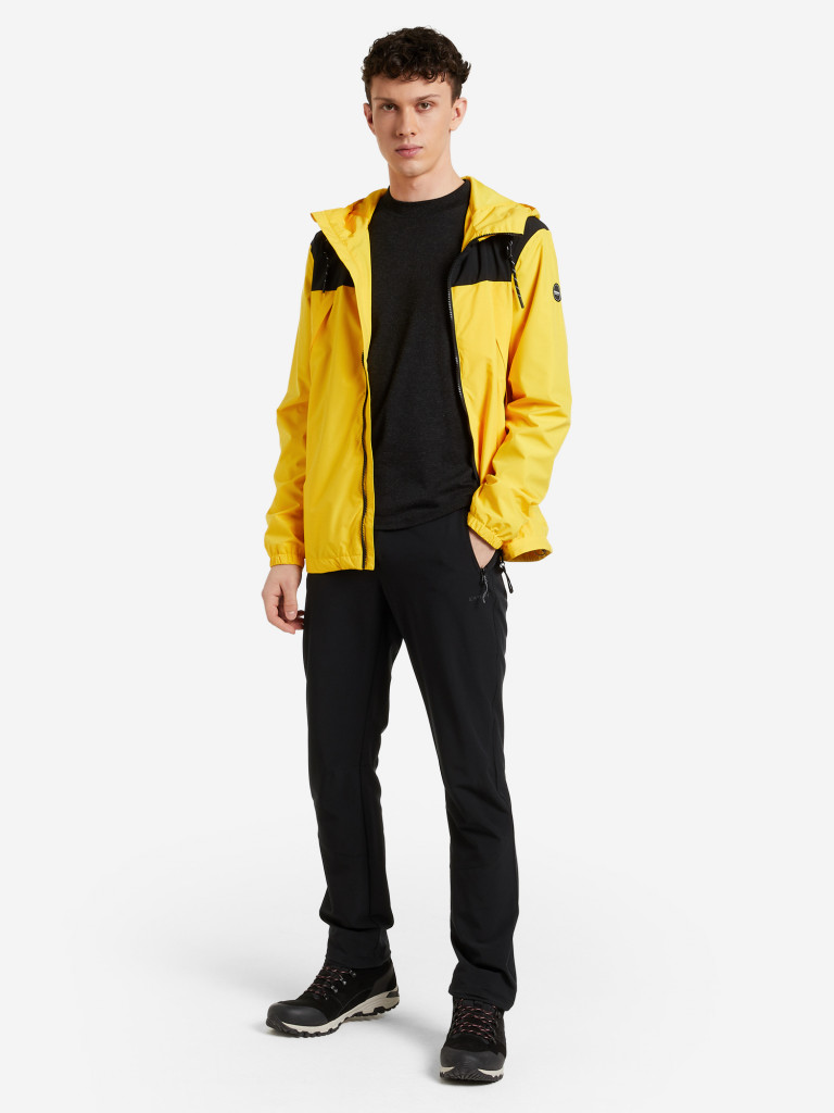 Брюки мужские IcePeak Baird