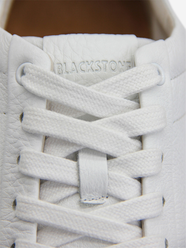 Кеды мужские Blackstone Roger Low