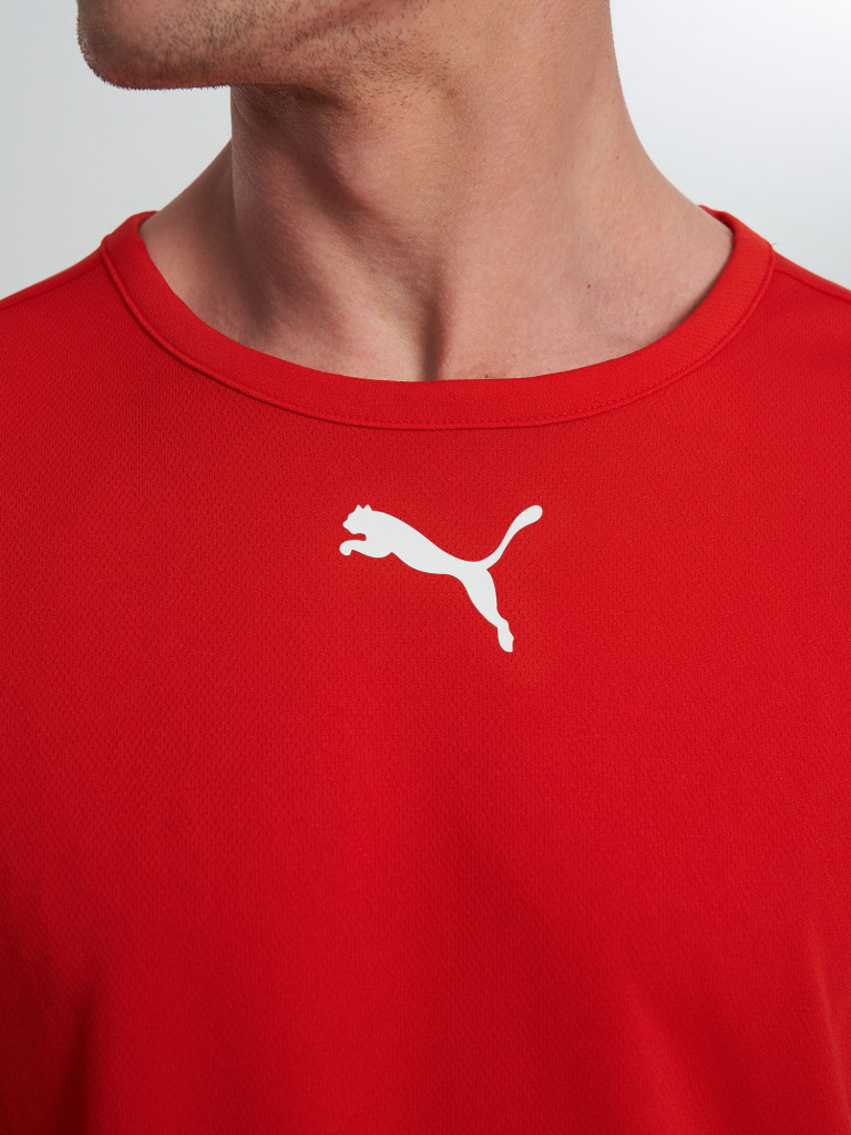 Футболка мужская PUMA TeamRise