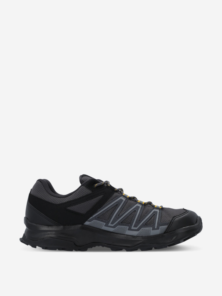 Кроссовки мужские Salomon Leonis Gtx