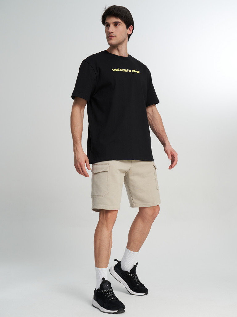 Футболка мужская The North Face Logo Twist