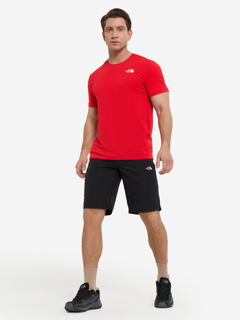 Шорты мужские The North Face Tanken