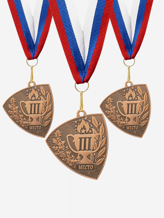 Комплект из трех бронзовых медалей за 3 место