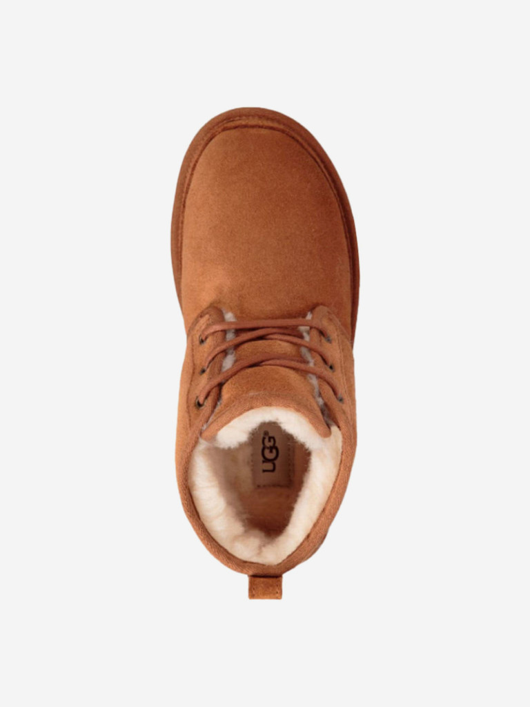 Ботинки женские UGG Neumel Boot Lacing Fleece