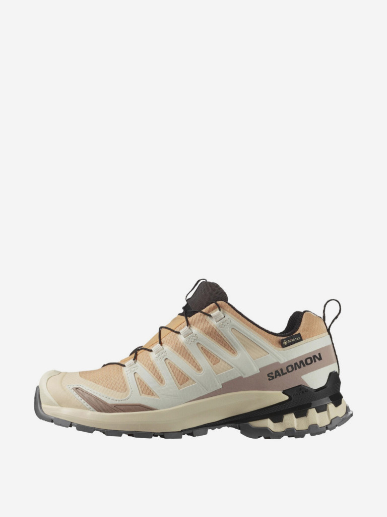 Кроссовки Salomon XA Pro 3D V9