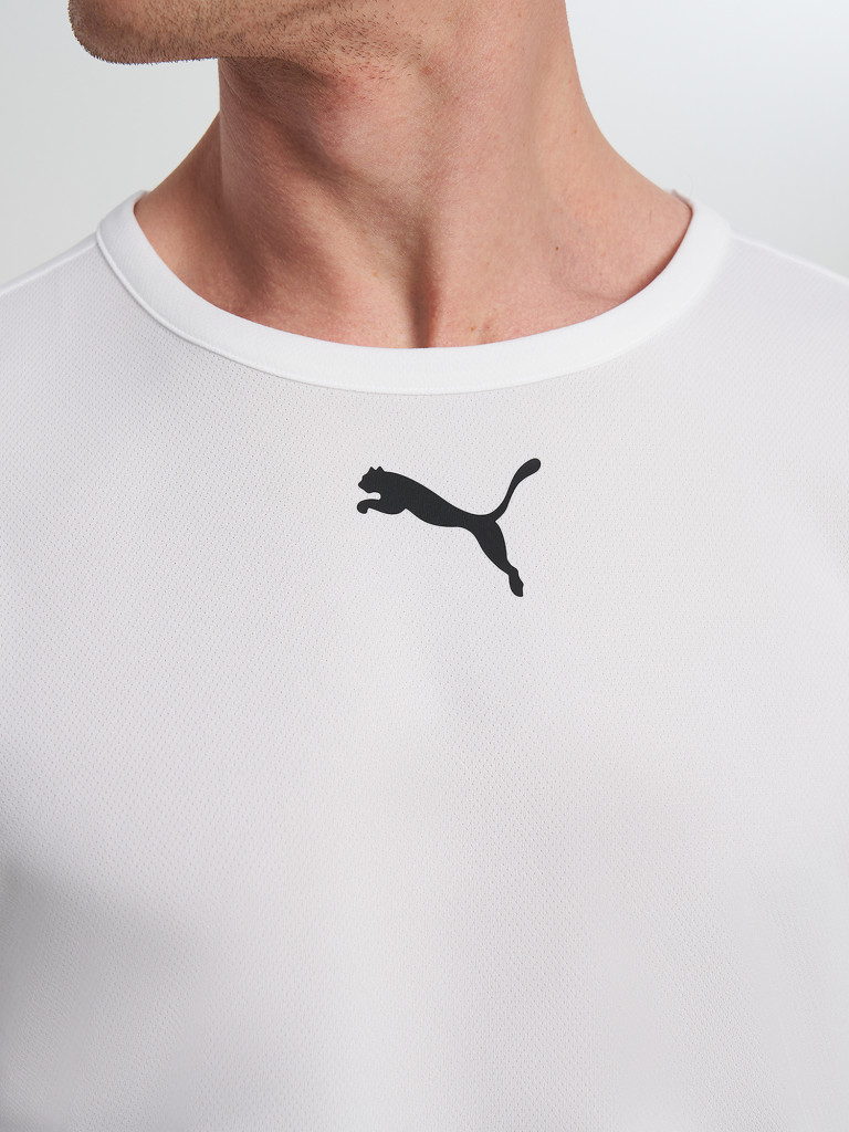 Футболка мужская PUMA TeamRise