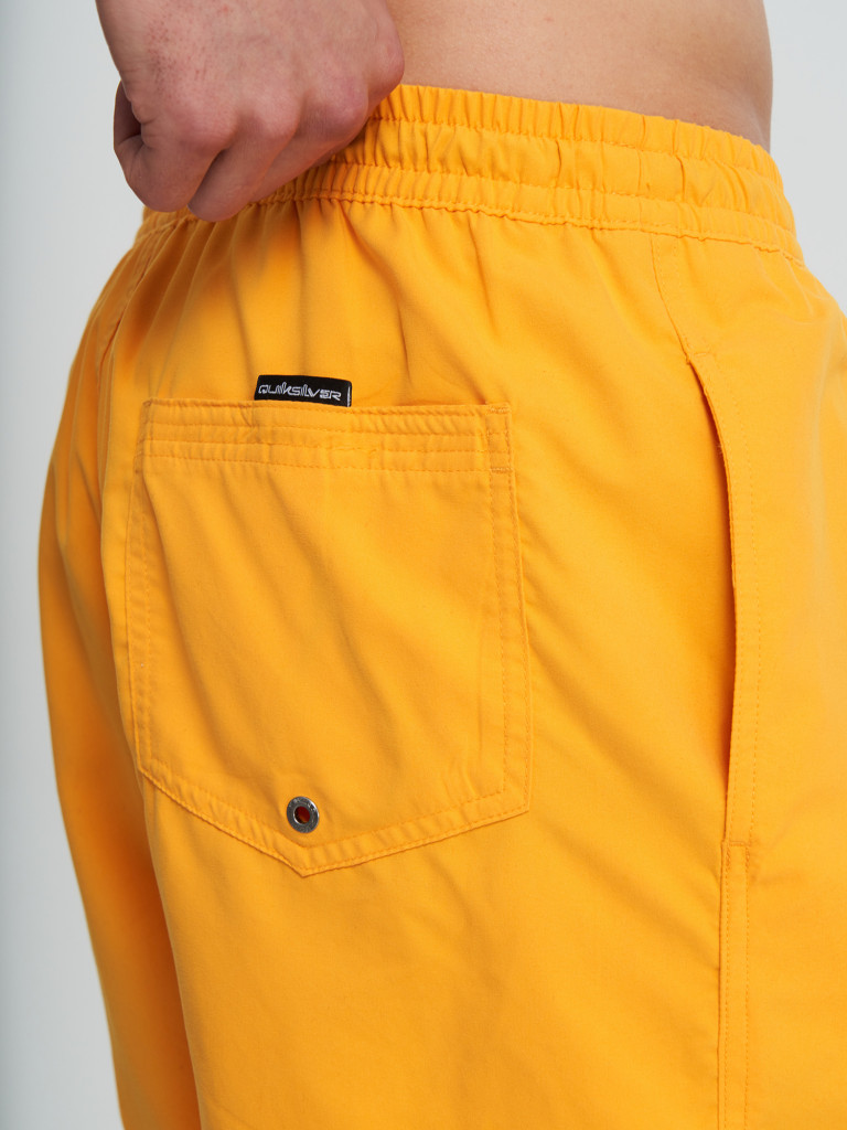 Шорты плавательные мужские Quiksilver Everyday Volley 15