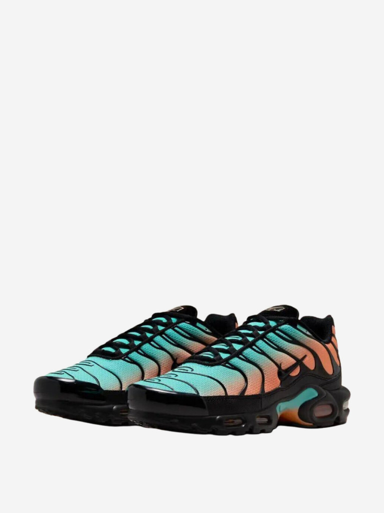 Кроссовки Nike Air Max Plus