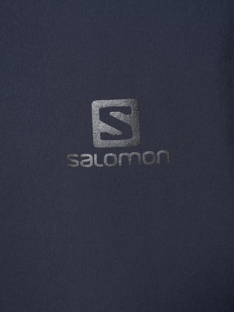 Шорты мужские Salomon Wayfarer