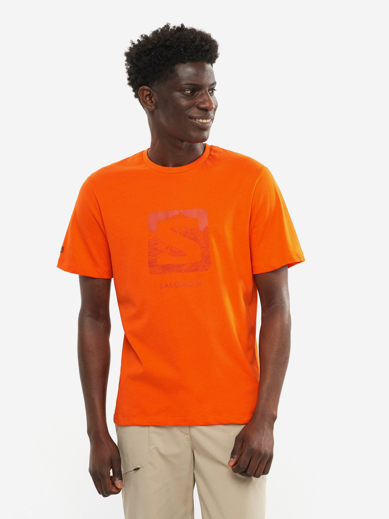 Футболка мужская Salomon Outlife Logo