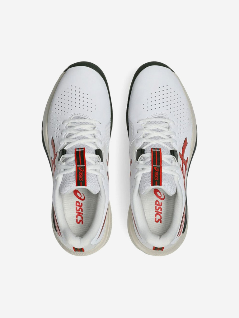 Кроссовки мужские ASICS Gel-Challenger 15