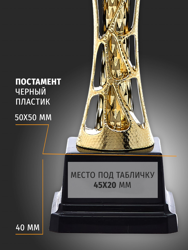 Спортивный кубок для награждения победителя 26.5 см