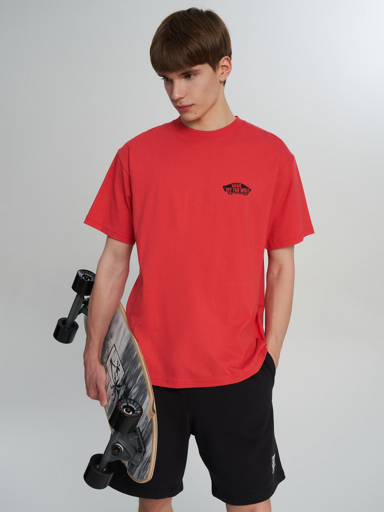 Футболка мужская Vans Double Standard SS