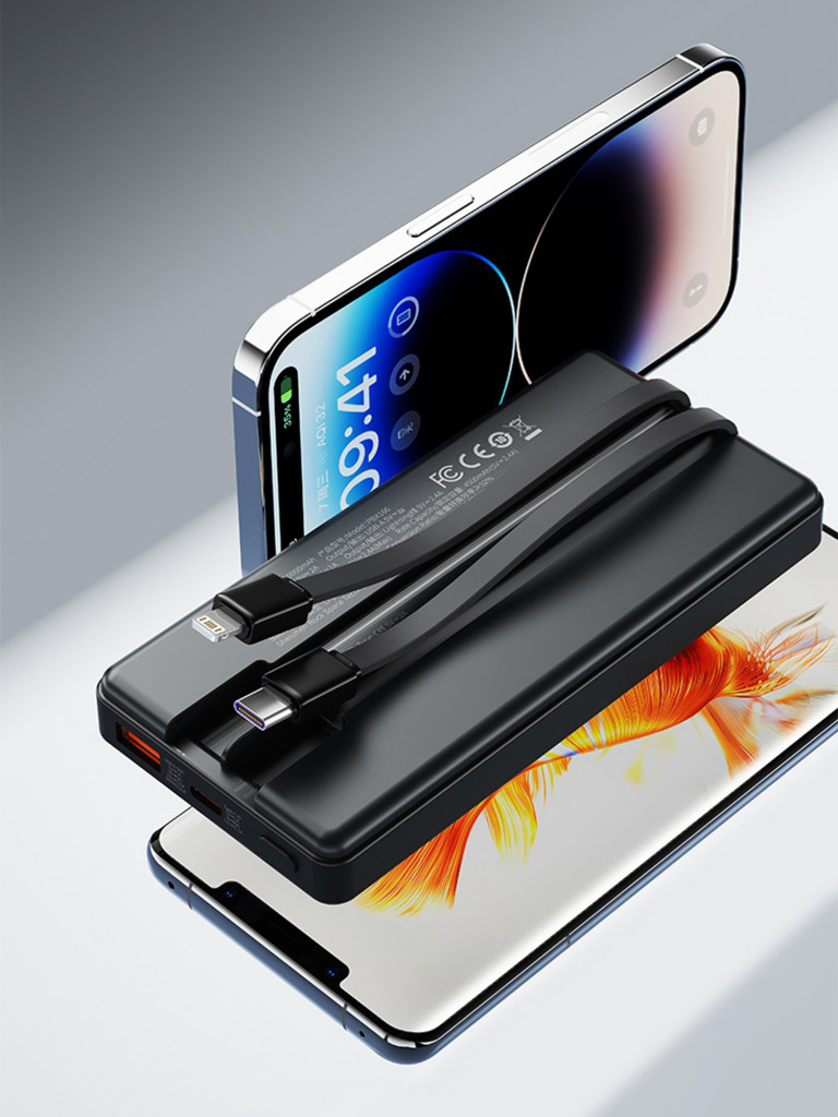 Внешний аккумулятор ROCK P98 PD20W Travel Series Power Bank With Cable 10000mAh черный