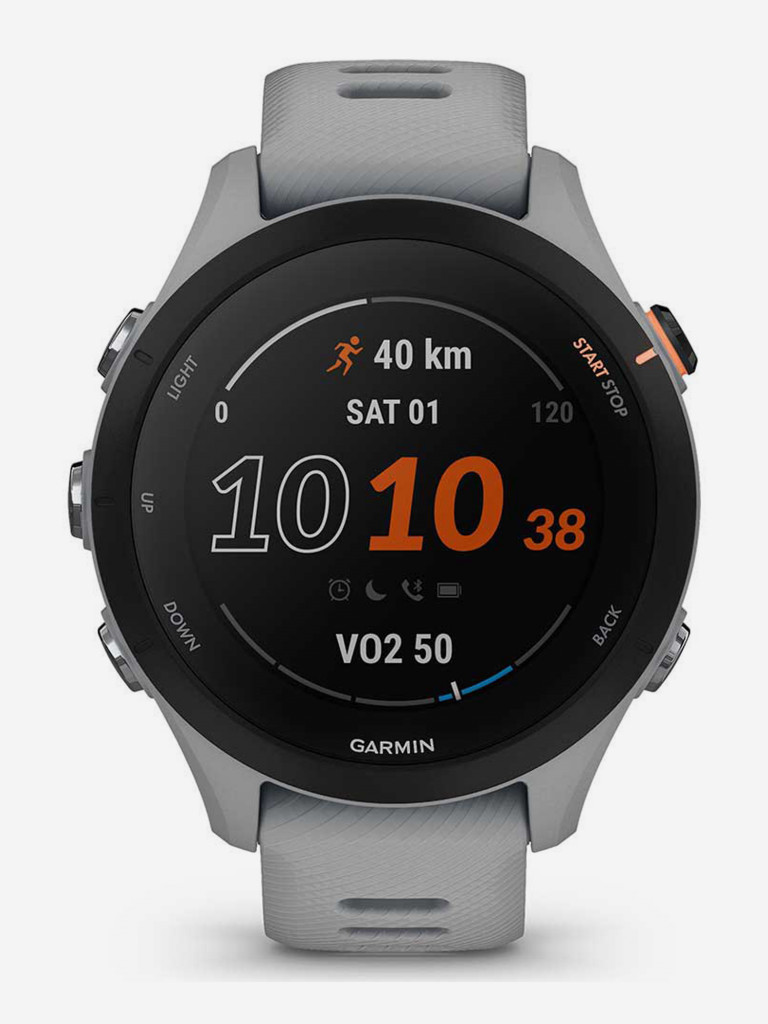 Спортивные часы Garmin Forerunner 255S Powder Grey со светло-серым ремешком