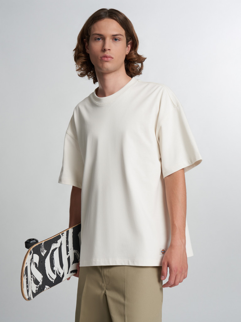 Футболка мужская DICKIES Mineral Heavyweight