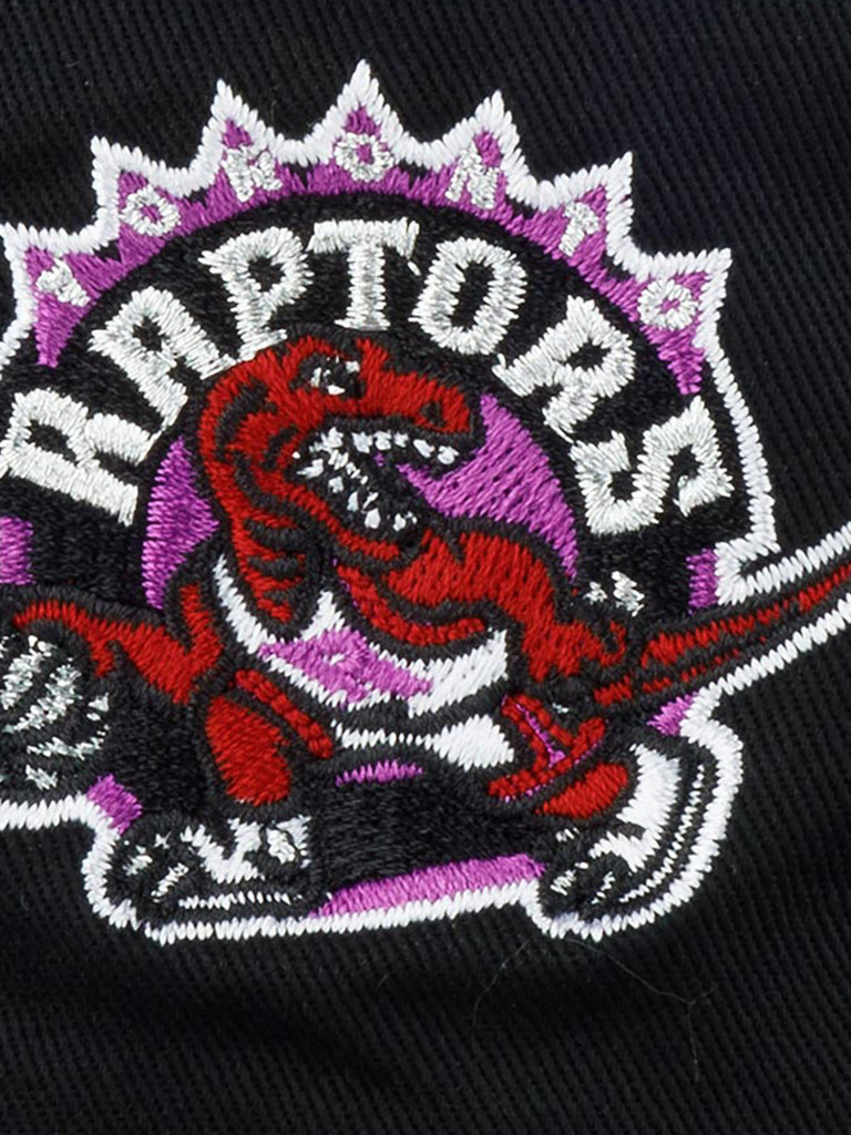Панама MITCHELL NESS HBKB2994-TRAYYPPPBLCK Toronto Raptors NBA (черный)