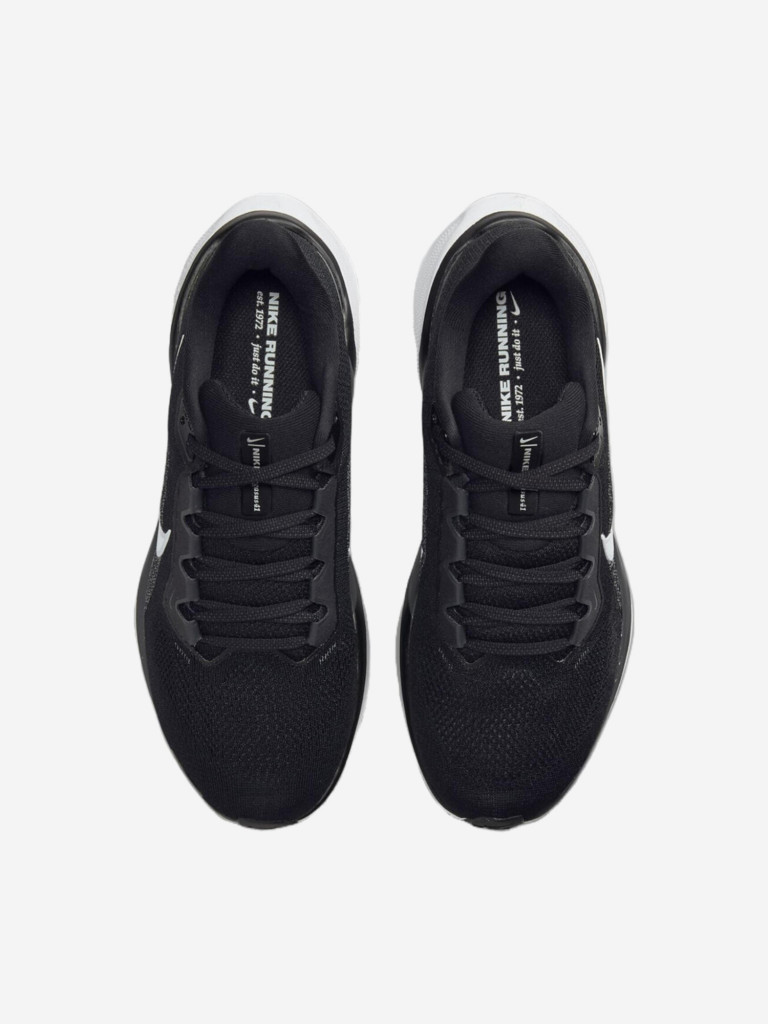 Кроссовки Nike Air Zoom Pegasus 41