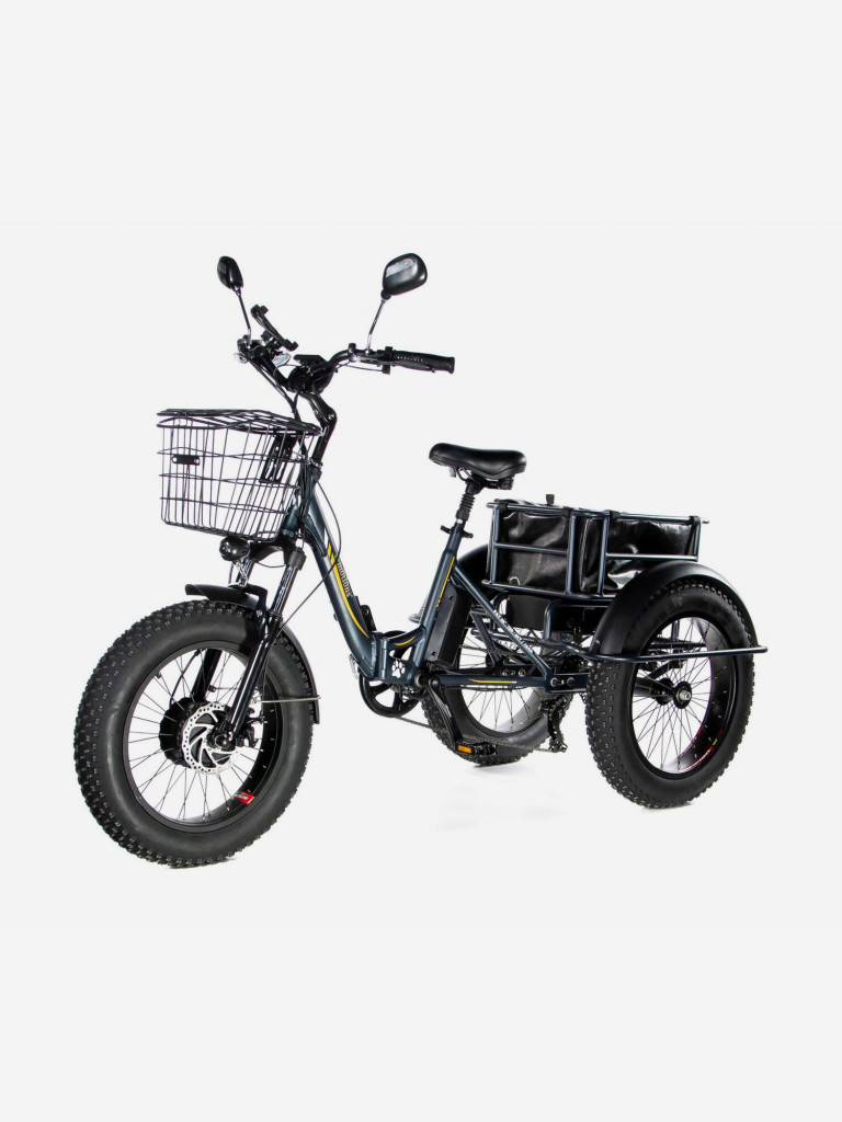 Трехколесный электровелосипед E-motions' PANDA 750W