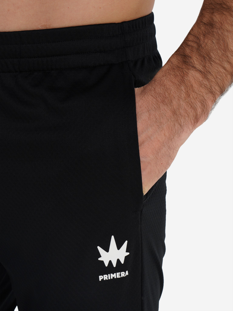 Брюки мужские Primera Evolution 24 Training